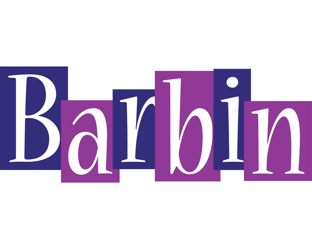 Barbin Search Engine